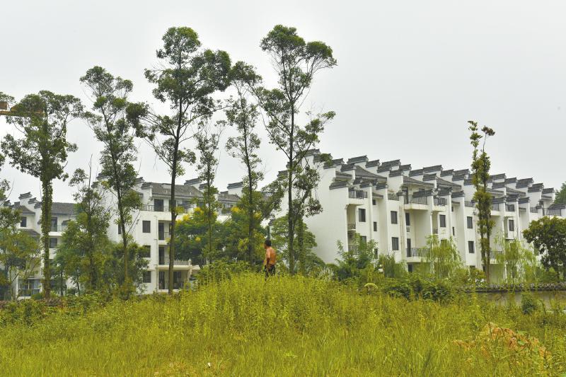 星空体育APP网站