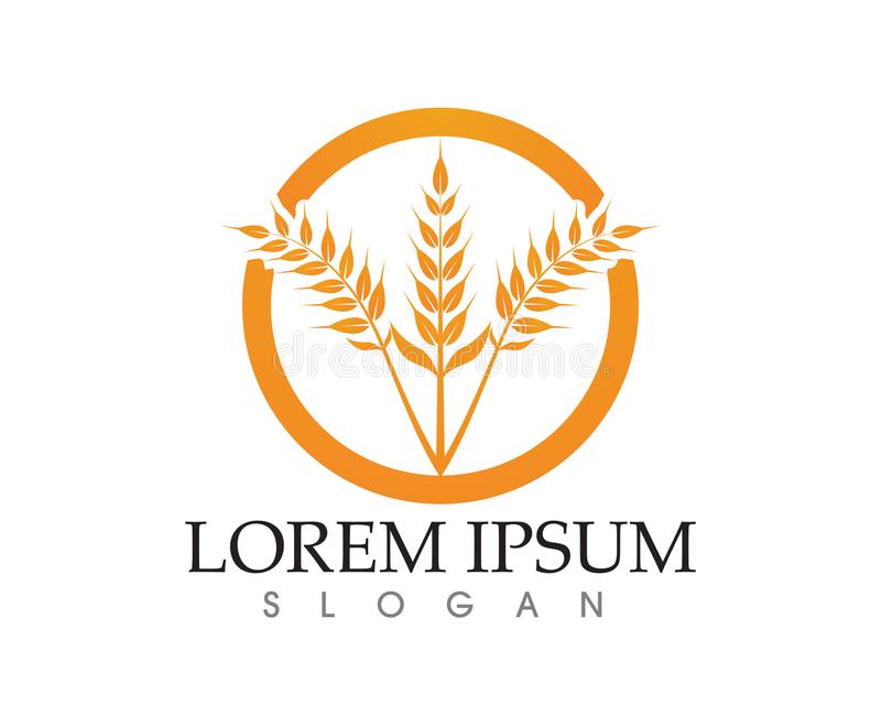 星空体育APP网站