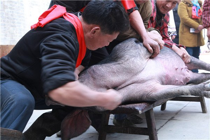 星空体育app下载