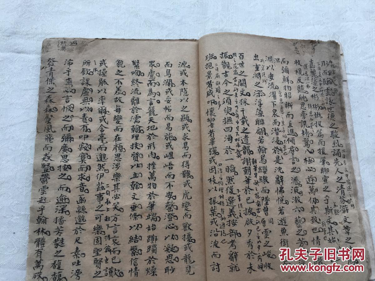 萌狮跨界萌趣无界 狮来运转上海授权展high翻天!“星空体育app下载”(图4) 星空体育APP