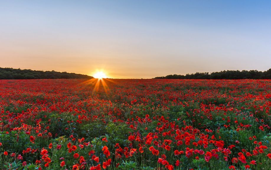 星空体育APP网站