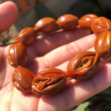 英国艺术家用植物作画【星空体育app下载】(图3) 星空体育APP网站