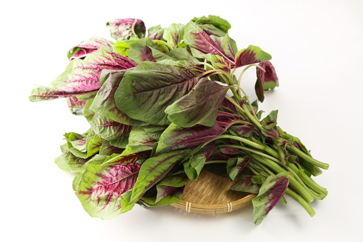 第26届金鸡百花电影节主题语吉祥物LOGO揭晓‘星空体育app下载’(图1) 星空体育APP网站