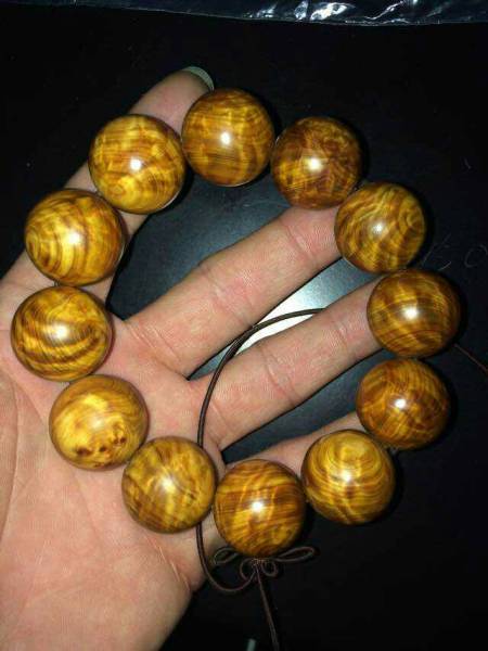 捷克国家图书馆方案公布|星空体育app下载(图2) 星空体育APP网站