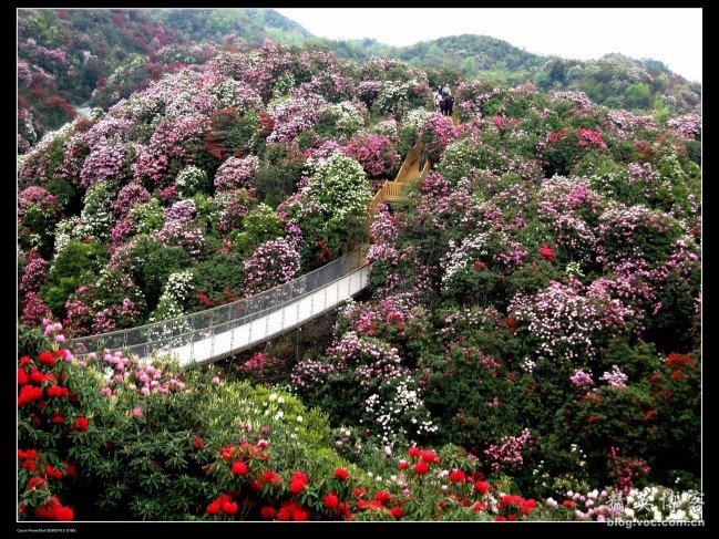 毛集试验区:再造“淮上江南”_星空体育app下载(图1) 星空体育APP