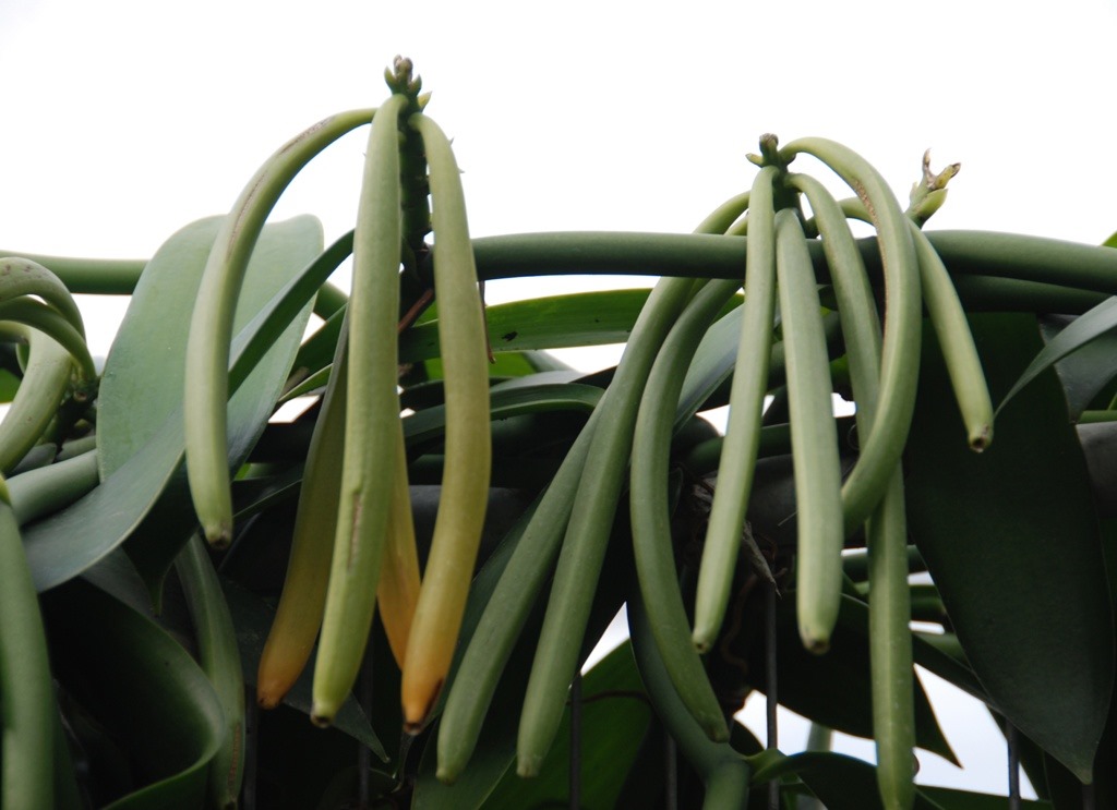 星空体育APP网站