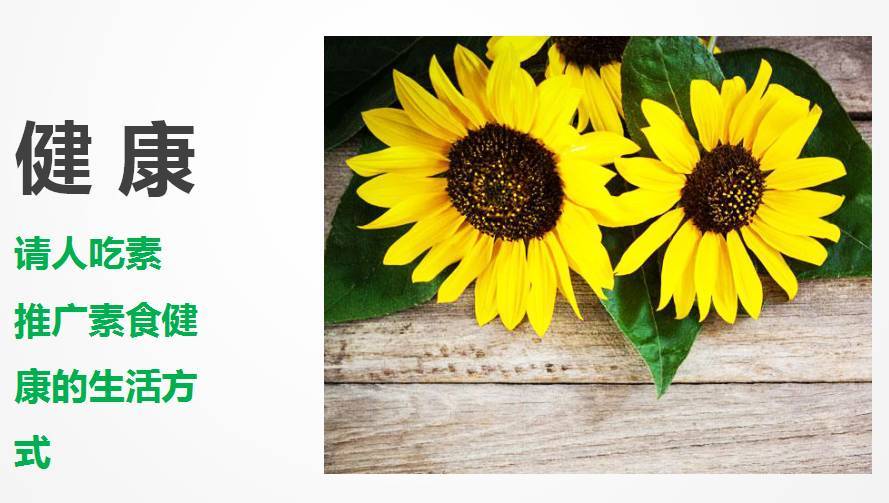 星空体育APP网站_一身骚气!《美男战国》追加角色等情报公开(图1) 星空体育app下载