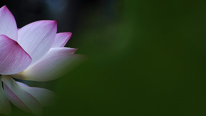 星空体育APP网站