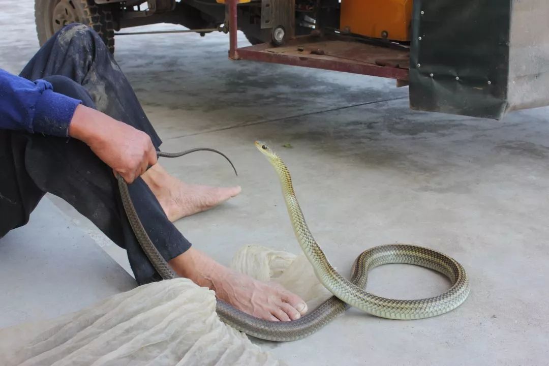 星空体育APP网站