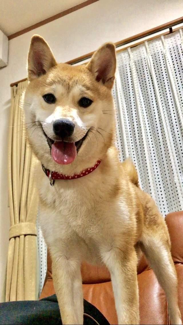 星空体育APP网站