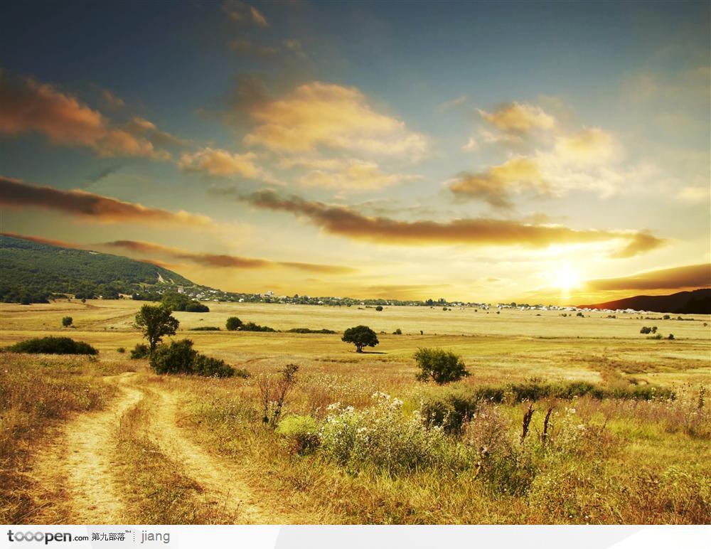 星空体育APP网站