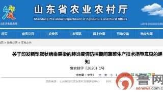 星空体育APP网站