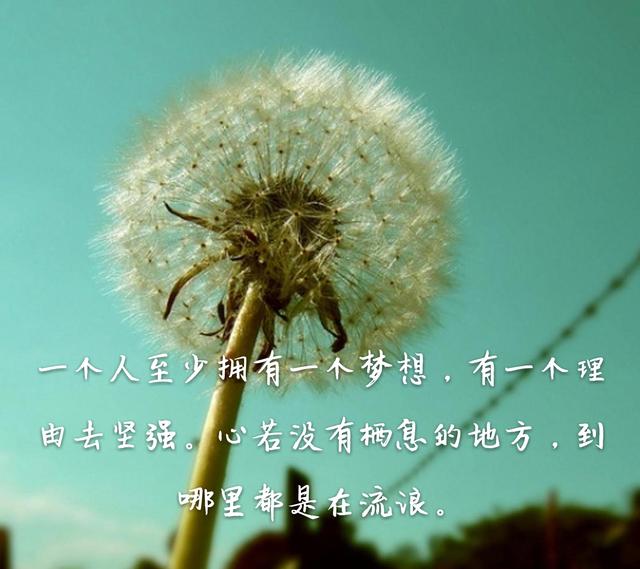 星空体育APP网站