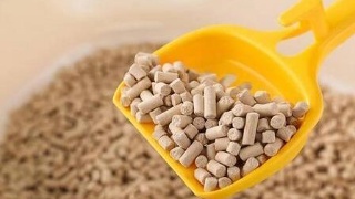 冬季番《皇帝圣印战记》公布追加声优和新视觉图等情报“星空体育APP”(图2) 星空体育APP网站