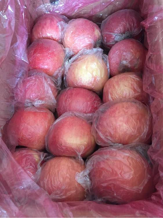 星空体育app下载