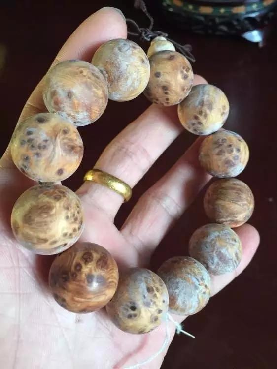 星空体育APP网站